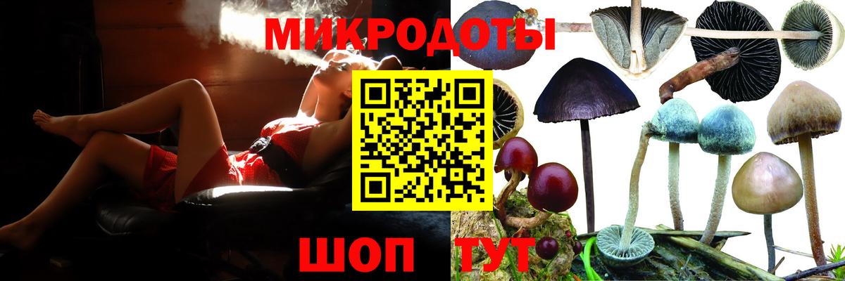 Псилоцибиновые грибы прущие грибы Севастополь